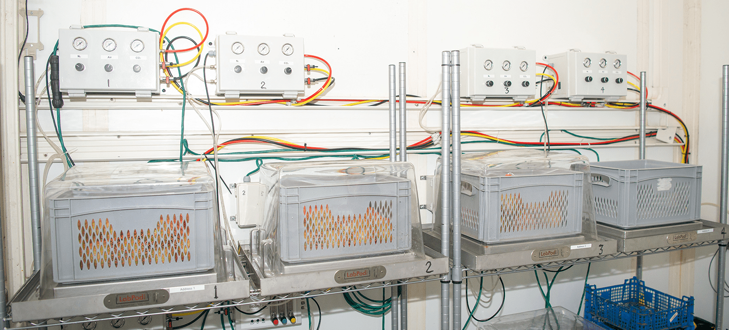 LabPods containing apples, displayed on shelves connected to monitoring equipment with gauges and colourful wiring, used for controlled experiments on produce storage conditions.