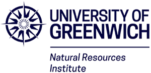 NRI Logo
