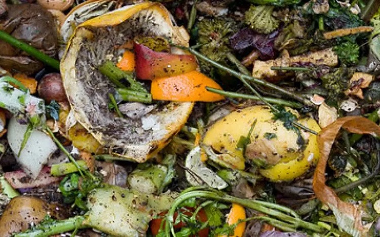 picture showing food waste 